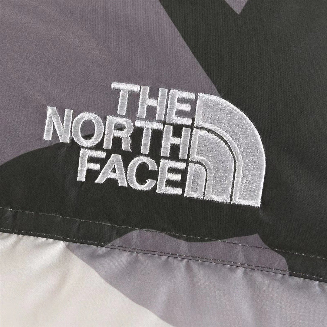 KAWS x The North Face Retro 1996 Nuptse Jacket-1